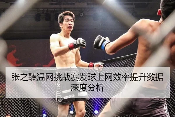 张之臻温网挑战赛发球上网效率提升数据深度分析